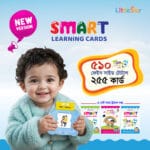LittleStar Smart Learning Cards 255 Cards